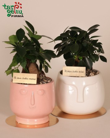 Bonsai veido formos vazone "Iš visos širdies mamai ir tėčiui" | Dovanos 