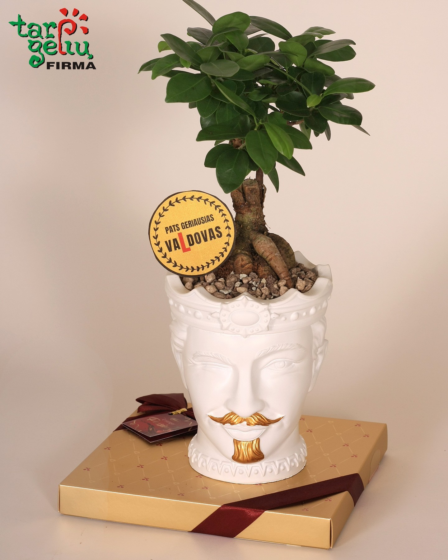 Bonsai medelis "Pačiam geriausiam vaLdovui"| Dovanos Bosui