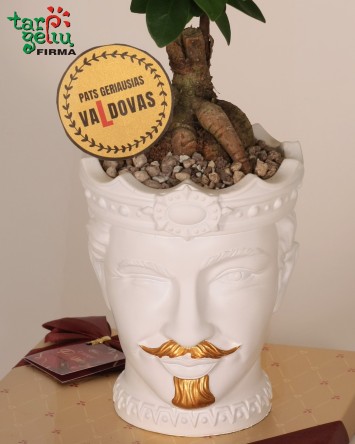 Bonsai medelis "Pačiam geriausiam vaLdovui"| Dovanos Bosui