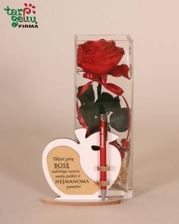 "Mieganti" rožė geriausiai Bosei | Dovanos Boso dienai