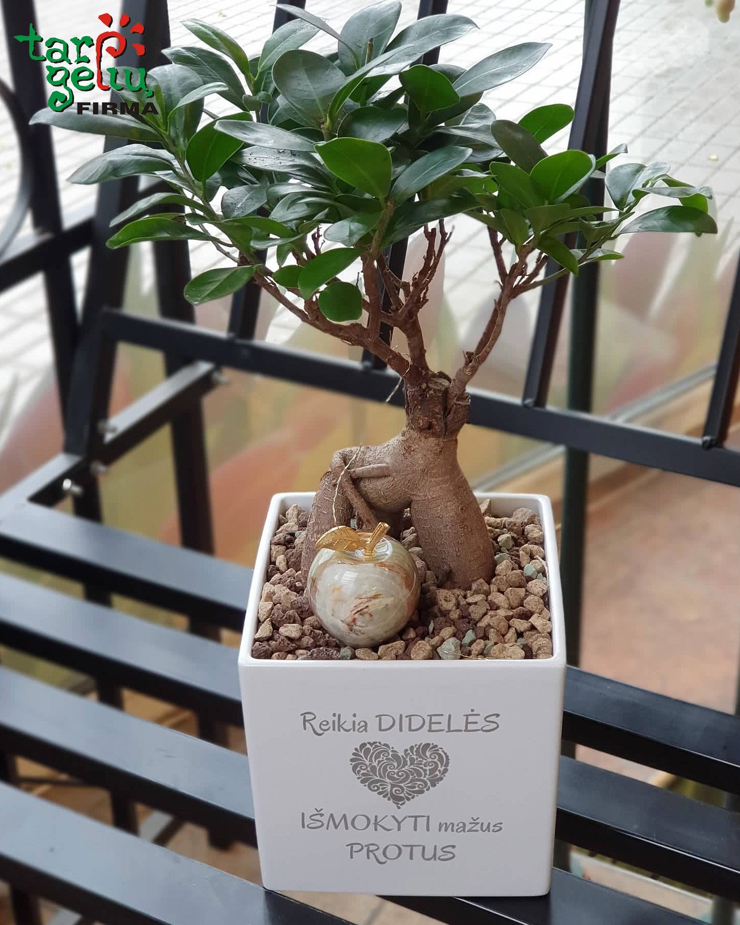 Bonsai "Reikia didelės širdies išmokyti mažus protus" | Dovanos mokytojai
