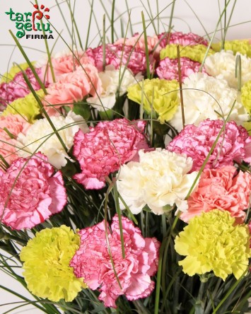 Multicolored bouquet of carnations | Bouquets | Flowers