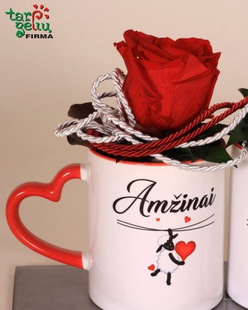 Kompozicija puodelyje "Amžinai kartu - tik aš ir tu"" | Gėlės