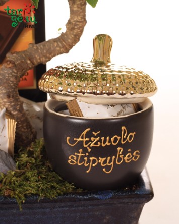 Dovana "Ąžuolo stiprybės"  | Originalios dovanos