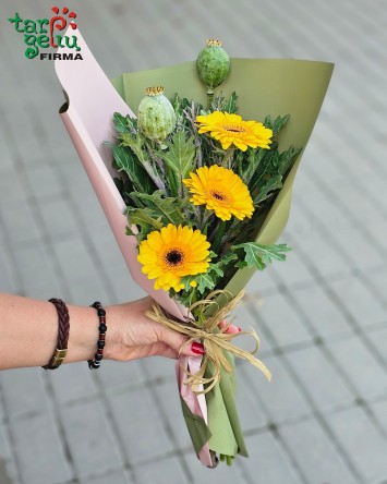 "Rytmečio saulė"