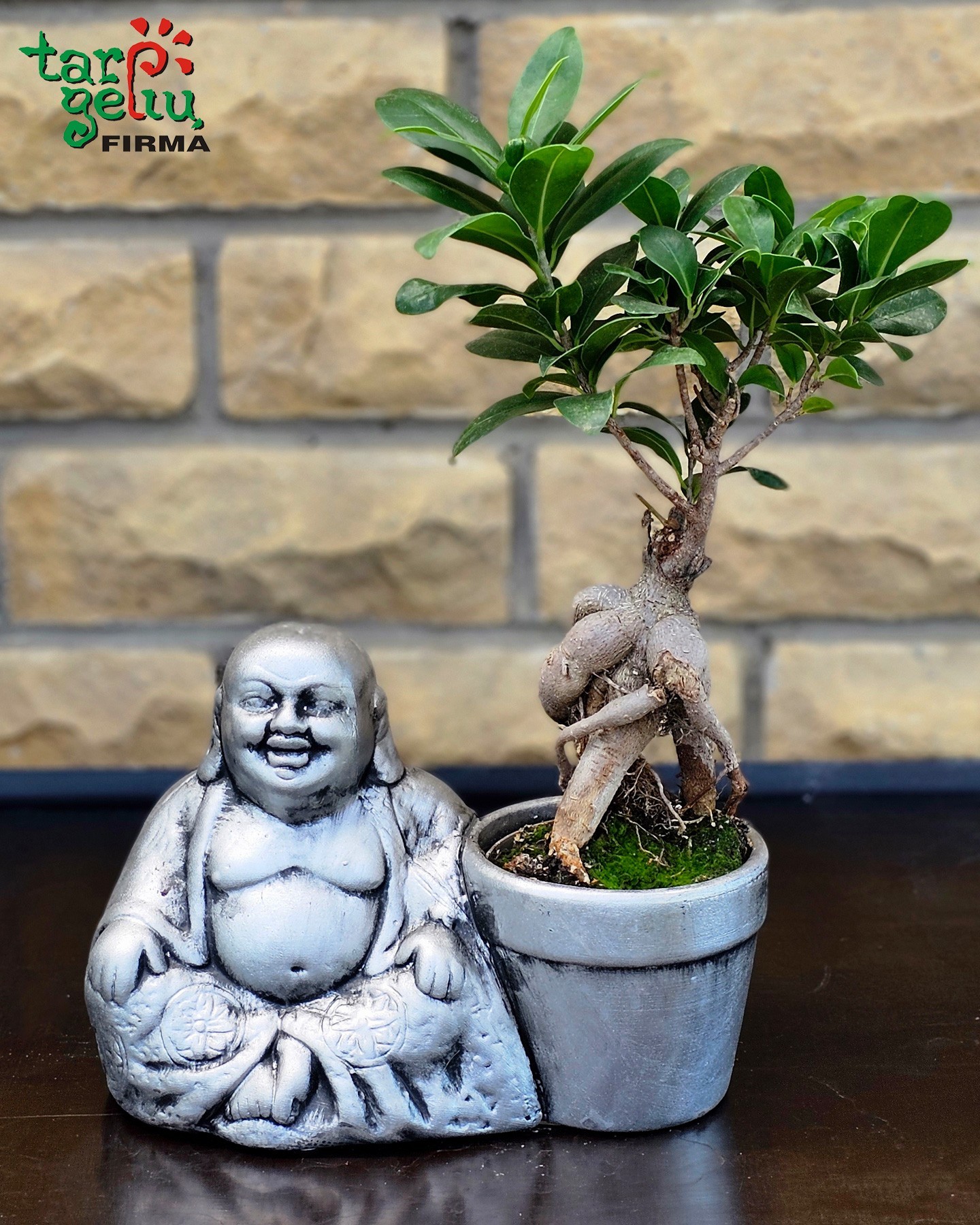 Bonsai medelis "Buda" | Kambarinės gėlės | Auglai | Dovana