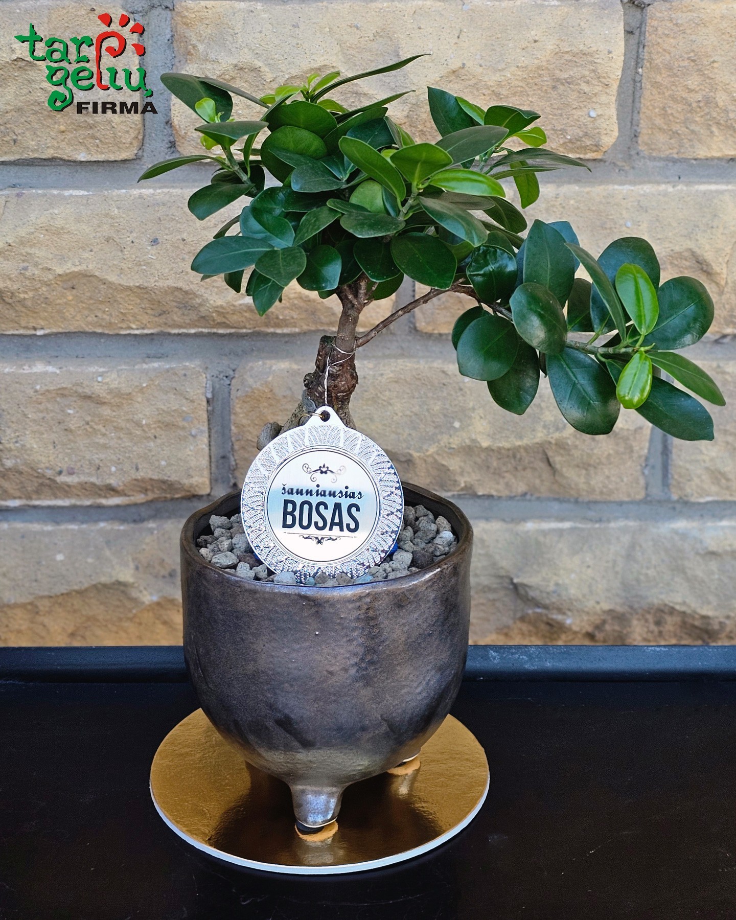 Bonsai medelis "Šauniausias bosas" | Dovanos boso dienai
