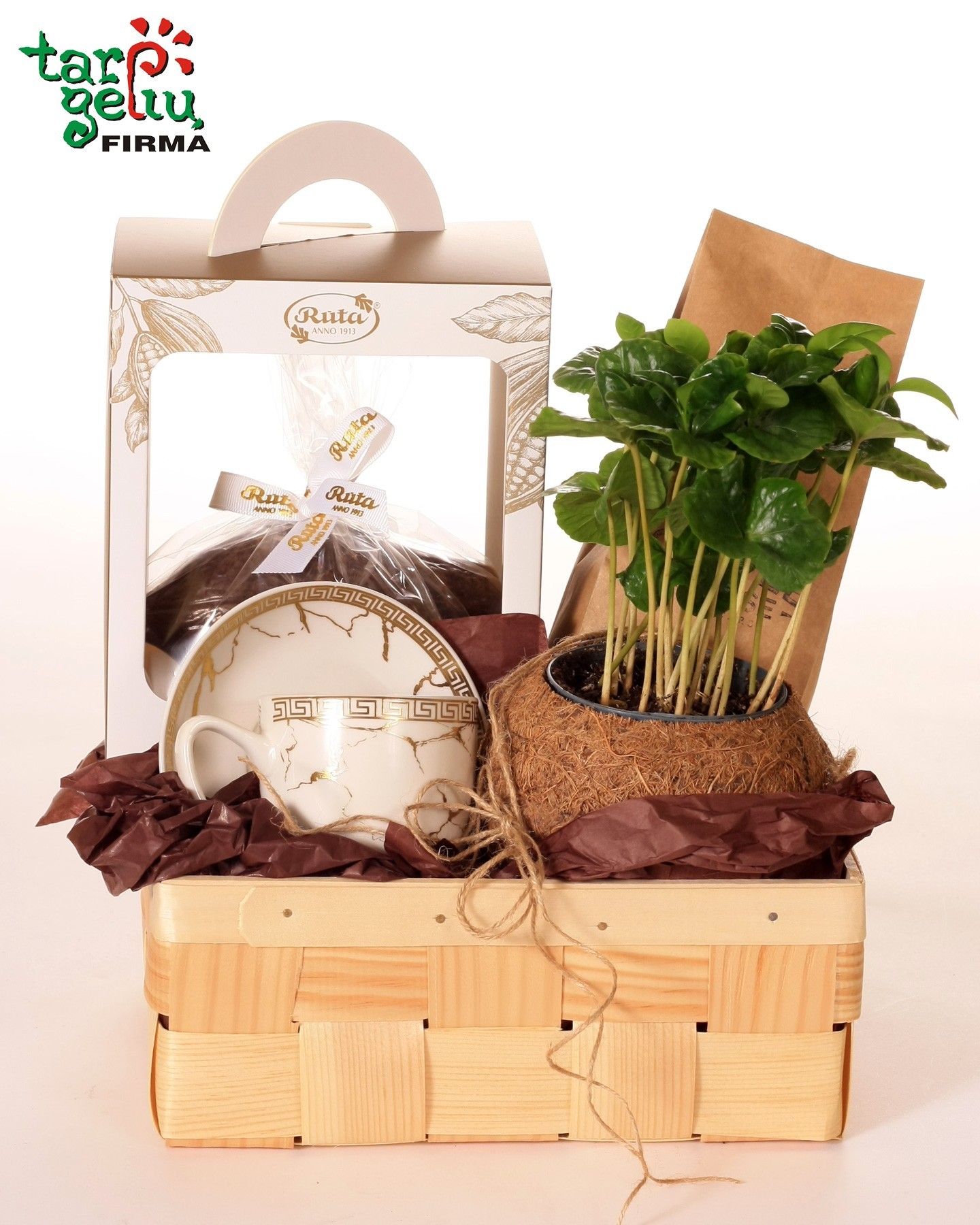 Coffee Magic | Coffea plant | Flowers | Gifts